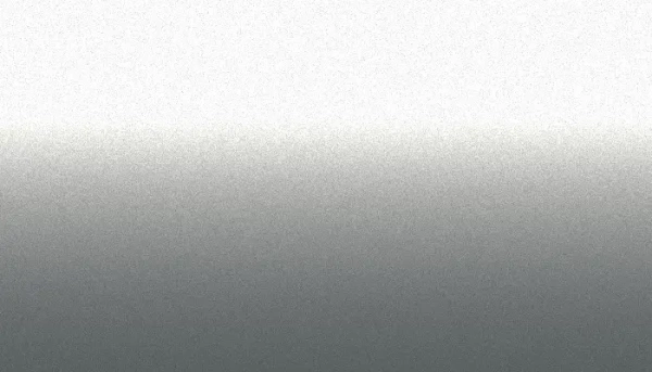 аэрозольная краска ford, цвет 18g - highlight silver