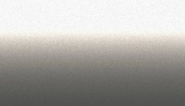 аэрозольная краска ford, цвет 2pkexwa - silver birch